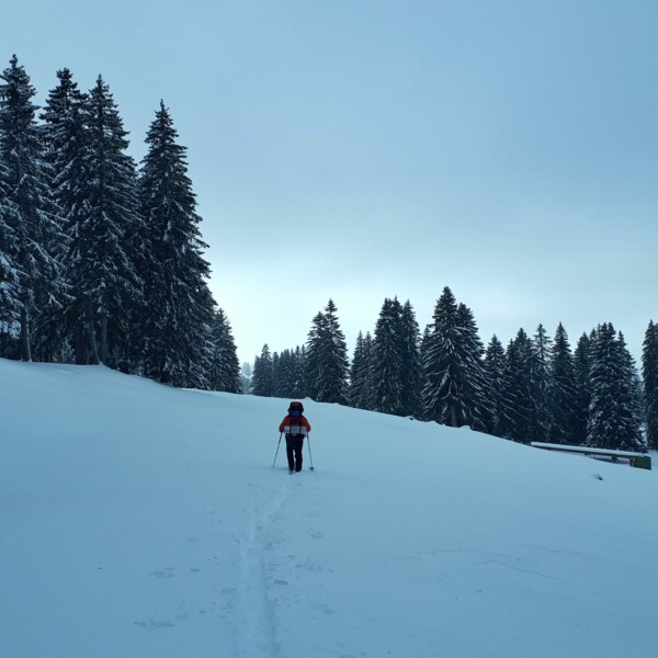 Snowshoeing in the heart of the Swiss Jura