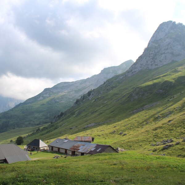 In the heart of the Bauges massif
