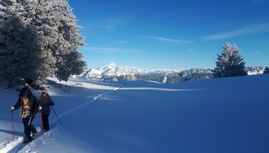 Snowshoeing: 5 itineraries around Annecy