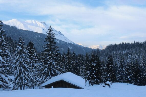 Snowshoes facing the Mont-Blanc massif