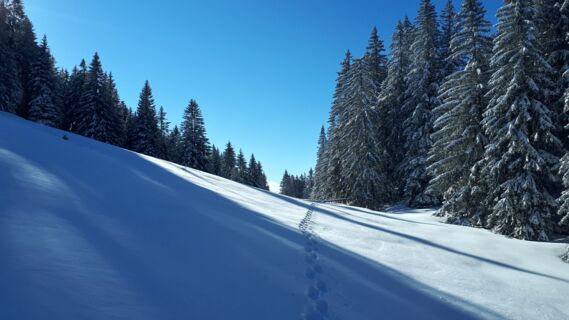 Swiss Snowshoe Weekend
