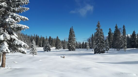 Swiss Snowshoe Weekend