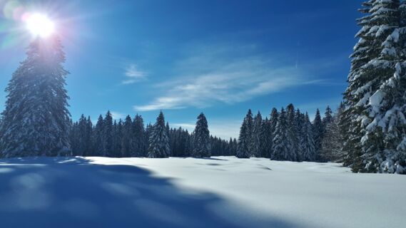 Swiss Snowshoe Weekend