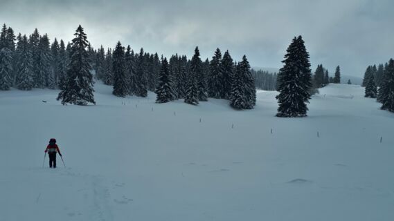Swiss Snowshoe Weekend