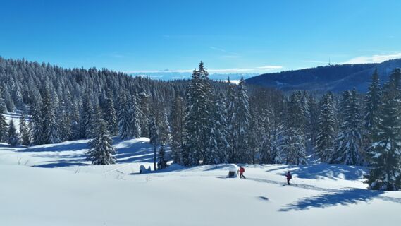 Swiss Snowshoe Weekend