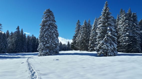 Swiss Snowshoe Weekend