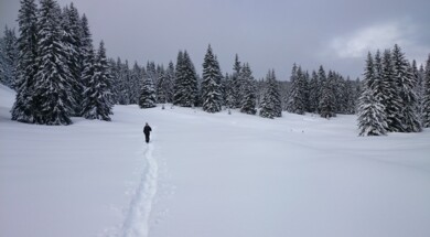 Snowshoeing across the Plateau des Glières